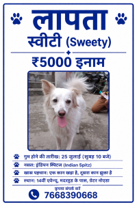 Pet photo