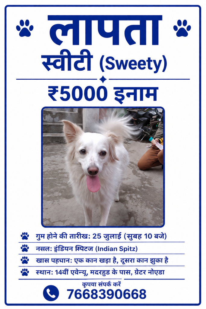 Pet photo